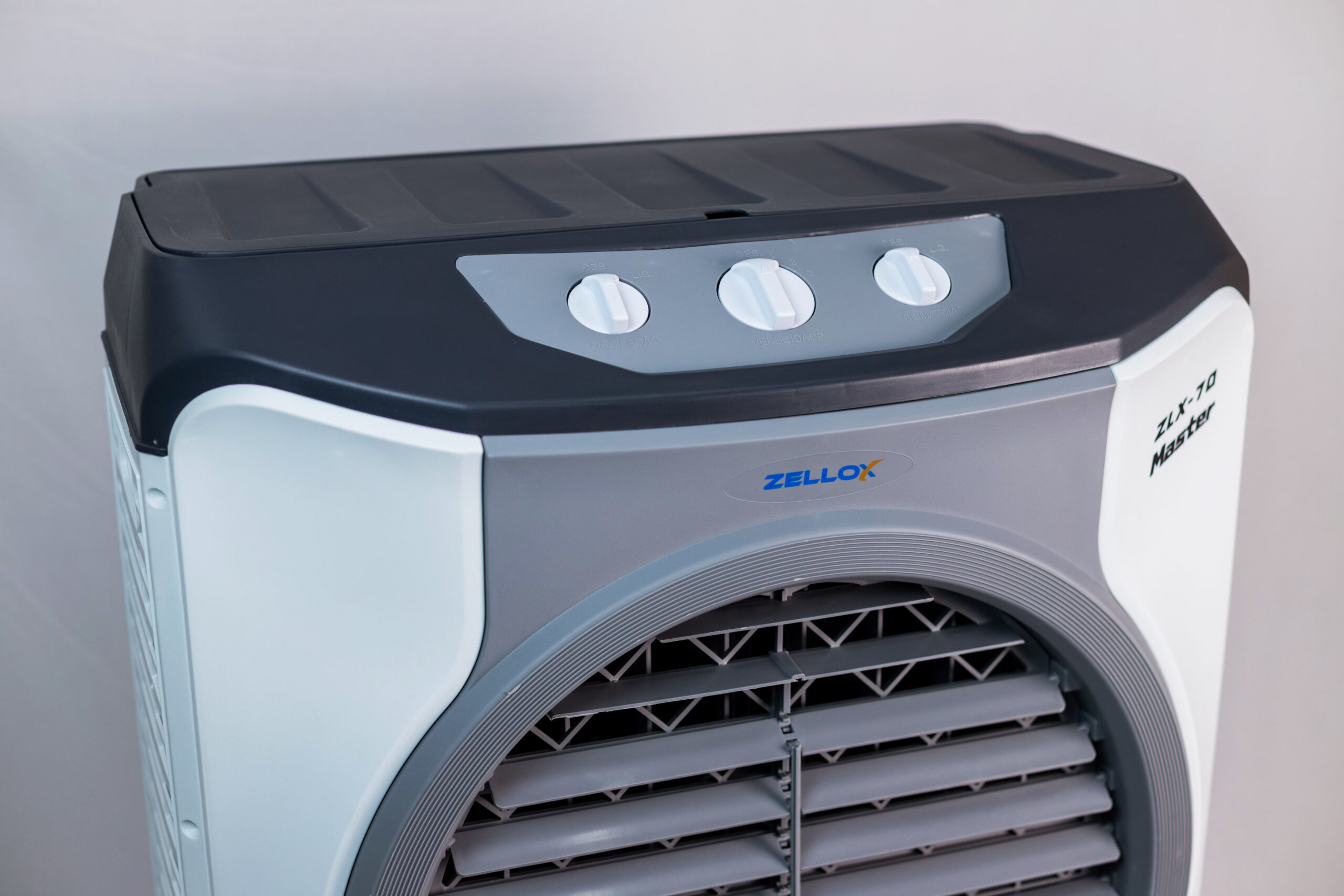 クロソヨゴ　/ 662 662 XL PRETO